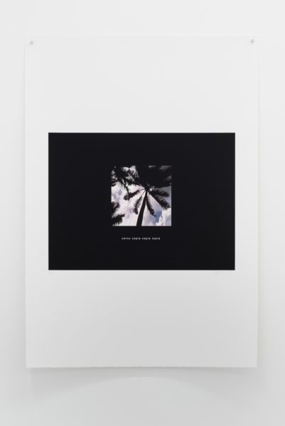 Annka Kultys Gallery