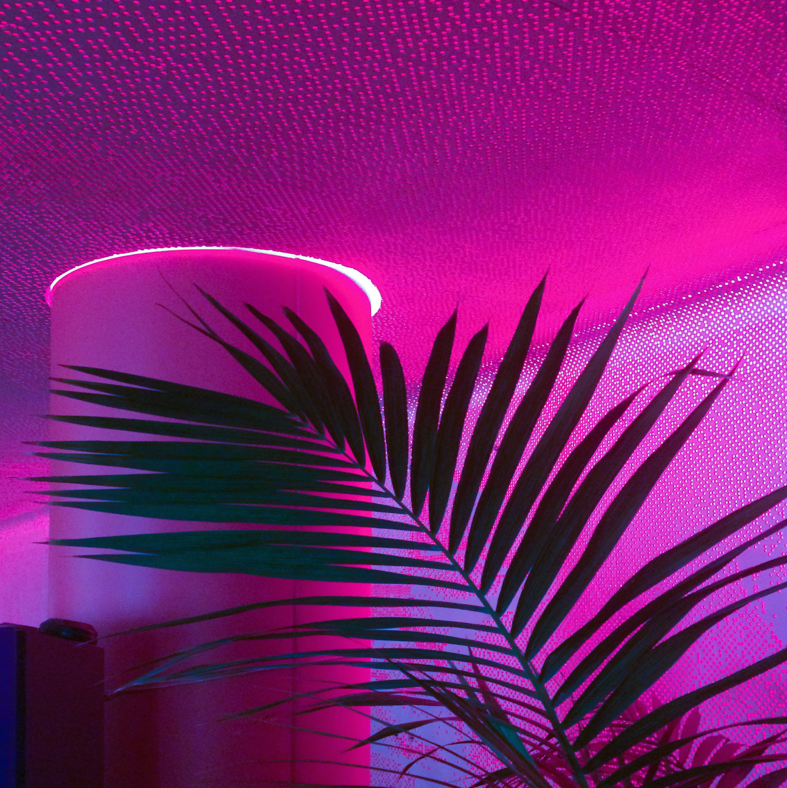 ANNKA KULTYS GALLERY