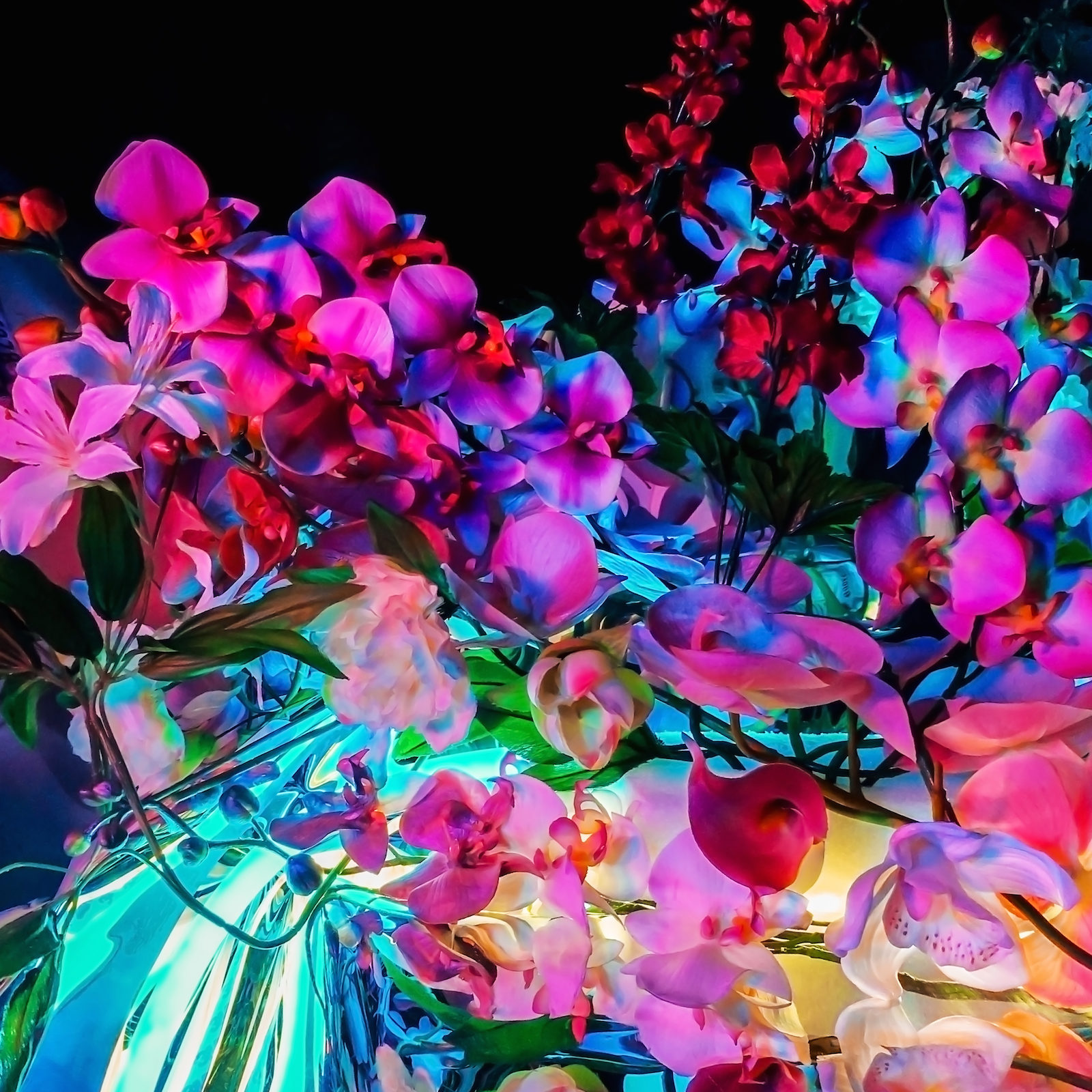 ANNKA KULTYS GALLERY