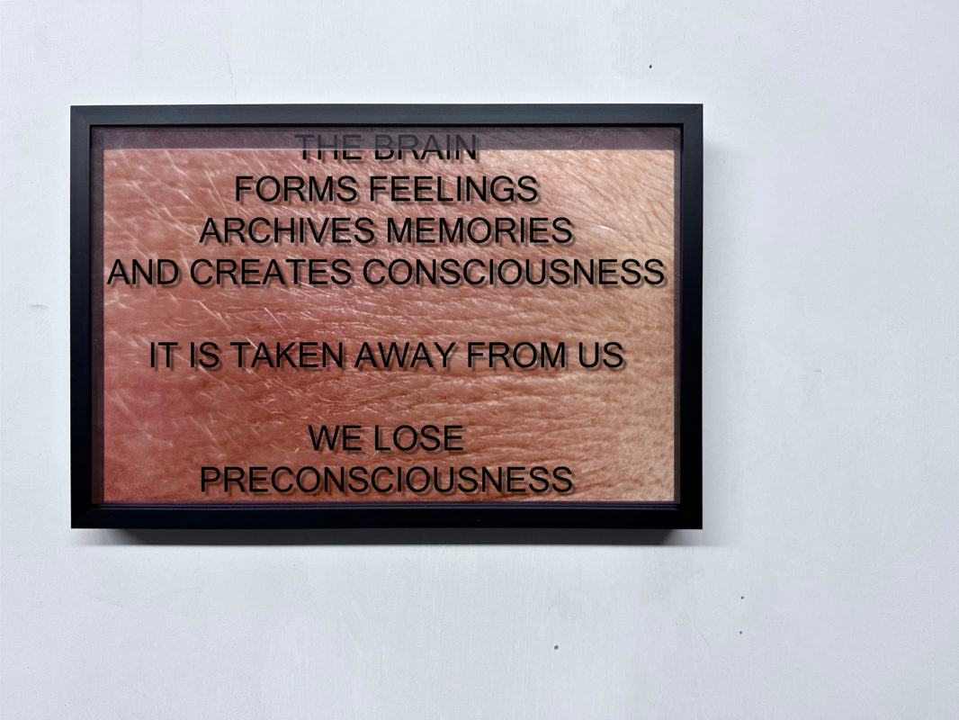 ANNKA KULTYS GALLERY