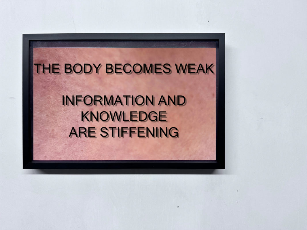 ANNKA KULTYS GALLERY