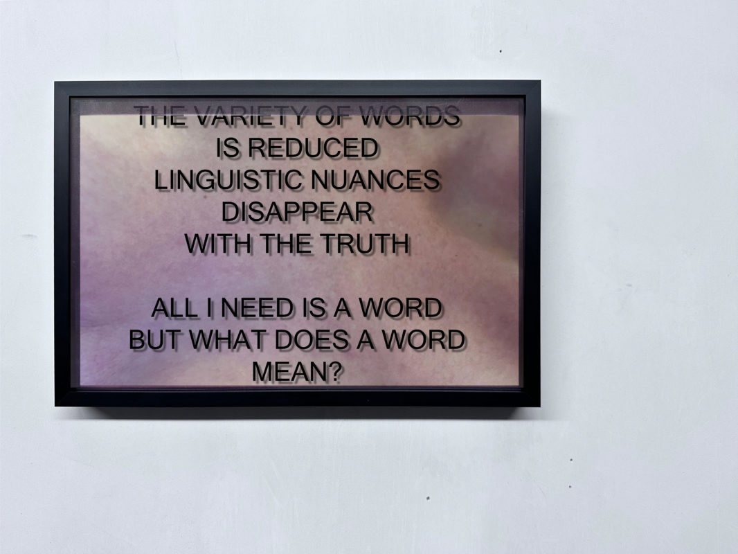 ANNKA KULTYS GALLERY