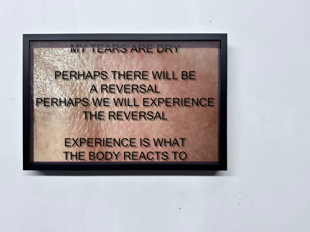 ANNKA KULTYS GALLERY