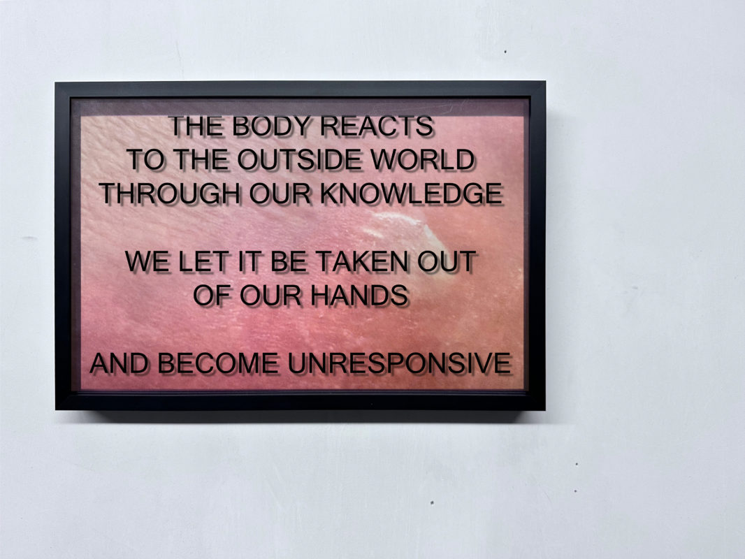 ANNKA KULTYS GALLERY