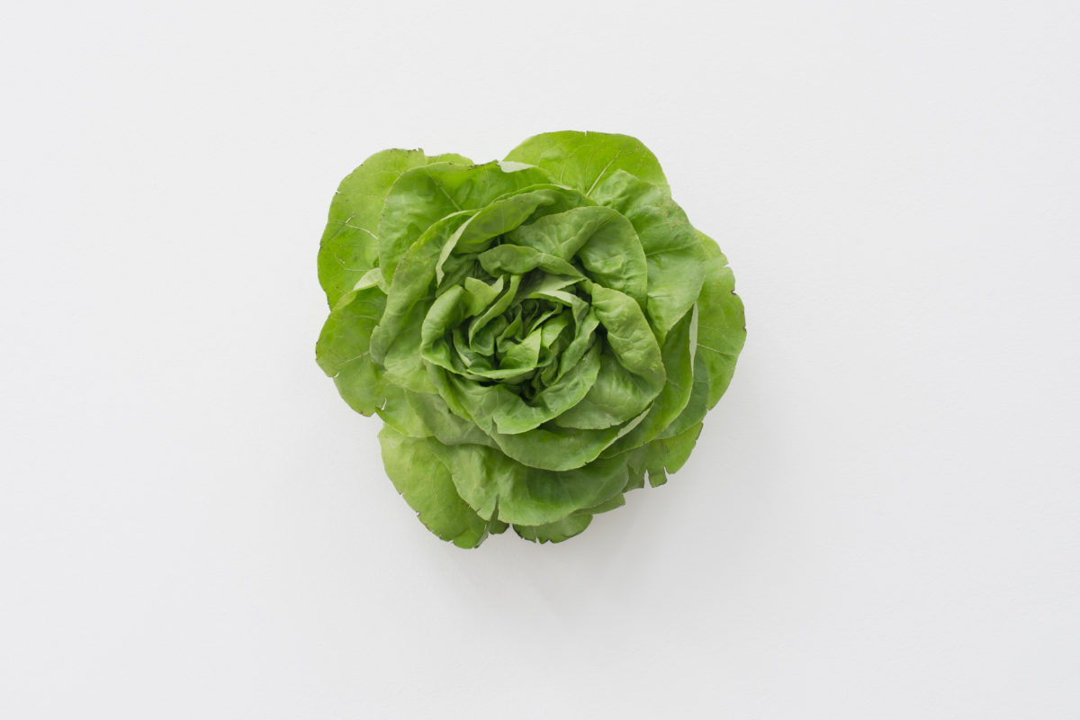 ANNKA KULTYS GALLERY