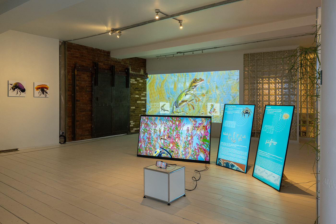 ANNKA KULTYS GALLERY