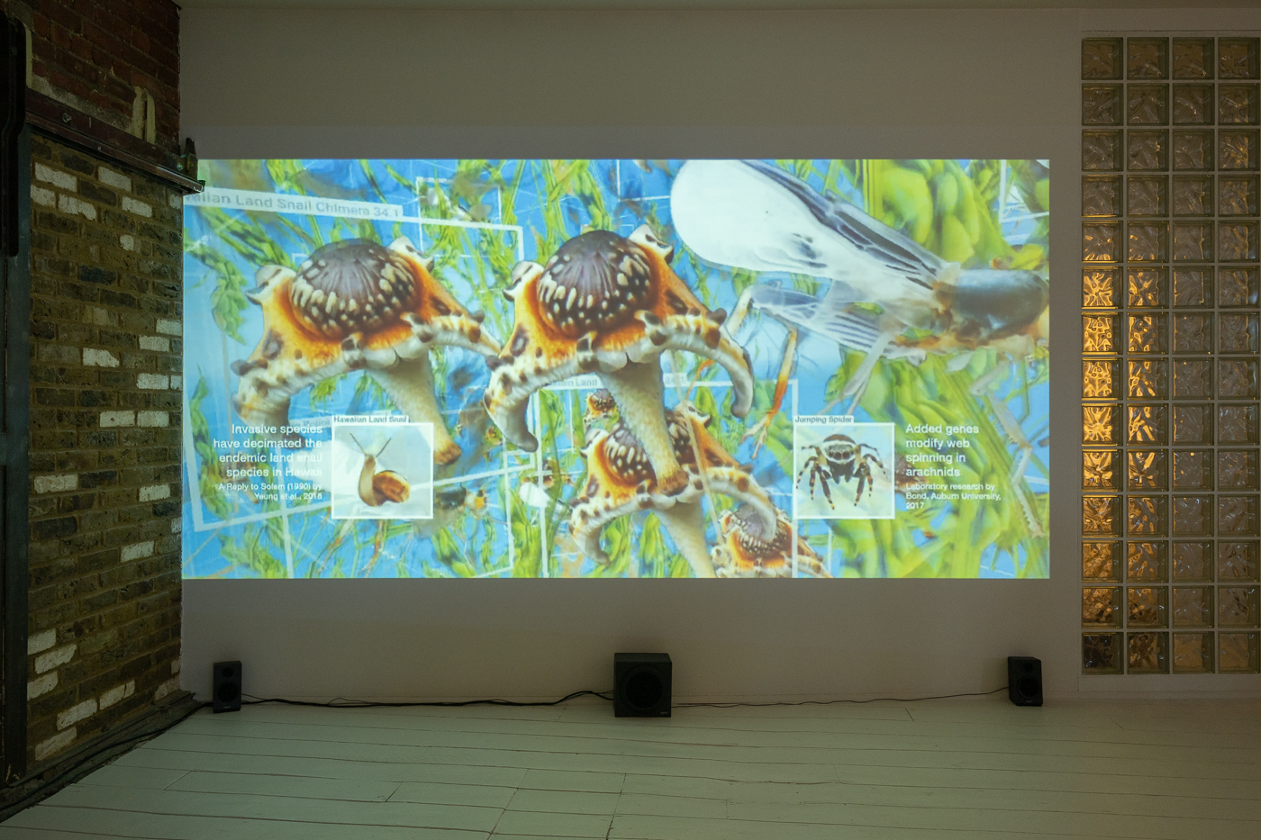 ANNKA KULTYS GALLERY